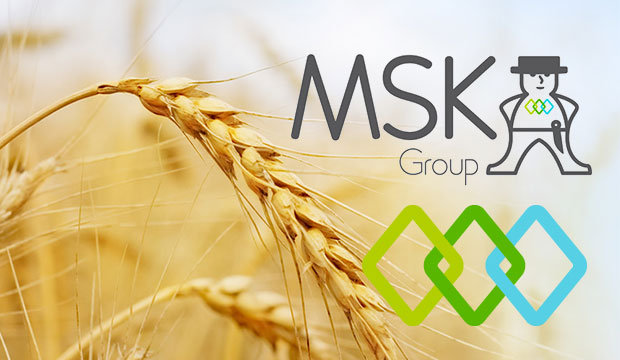 MSK Group Oy